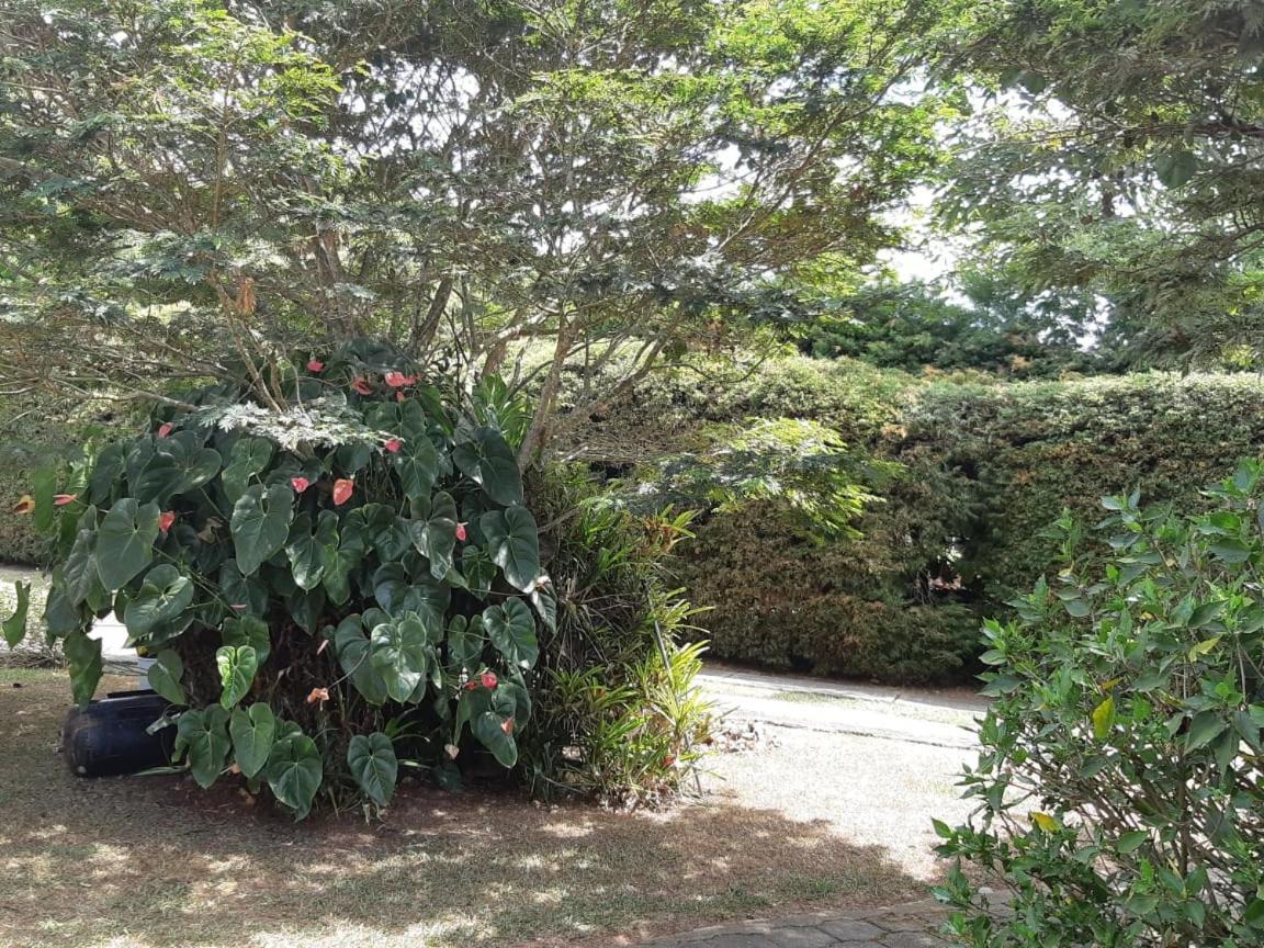 Finca Paraiso كاليما المظهر الخارجي الصورة