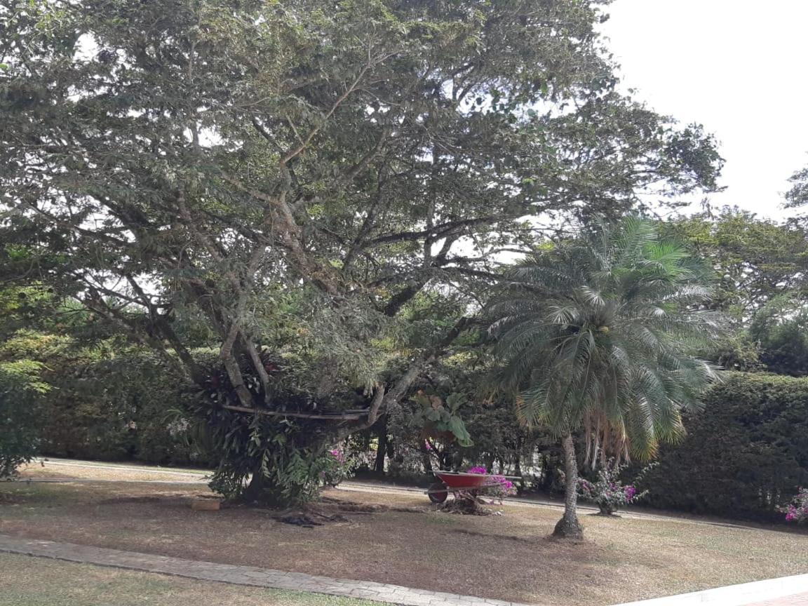 Finca Paraiso كاليما المظهر الخارجي الصورة